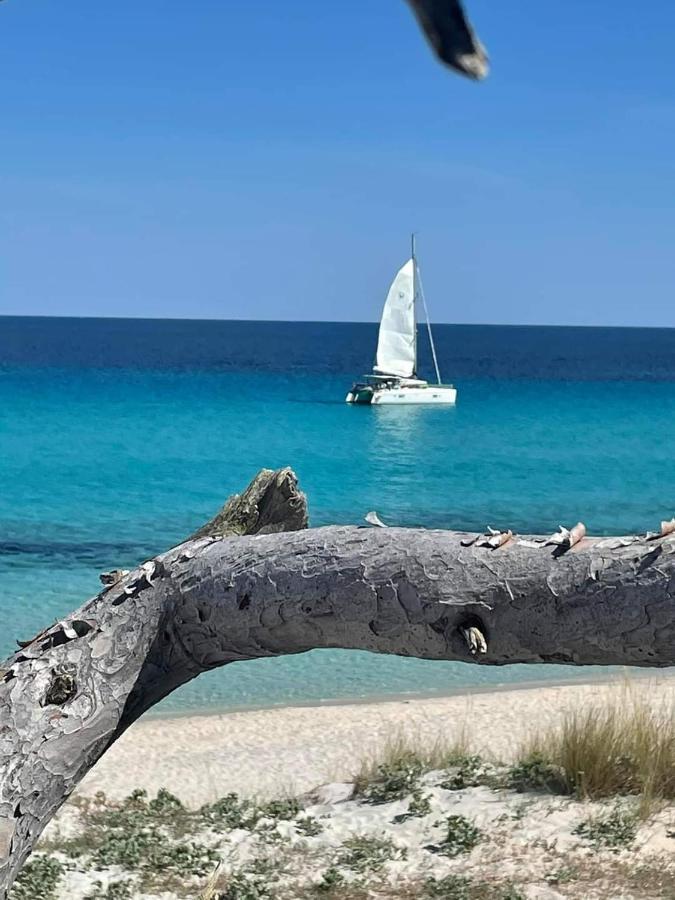 Villa Les Palmiers -Stretta Di I Mandarini Lucciana  Luaran gambar