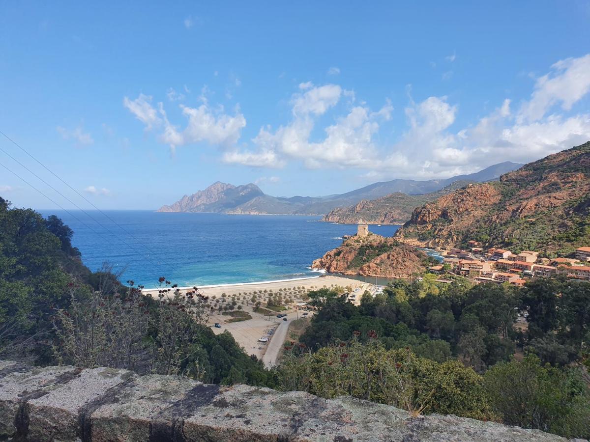 Villa Les Palmiers -Stretta Di I Mandarini Lucciana  Luaran gambar
