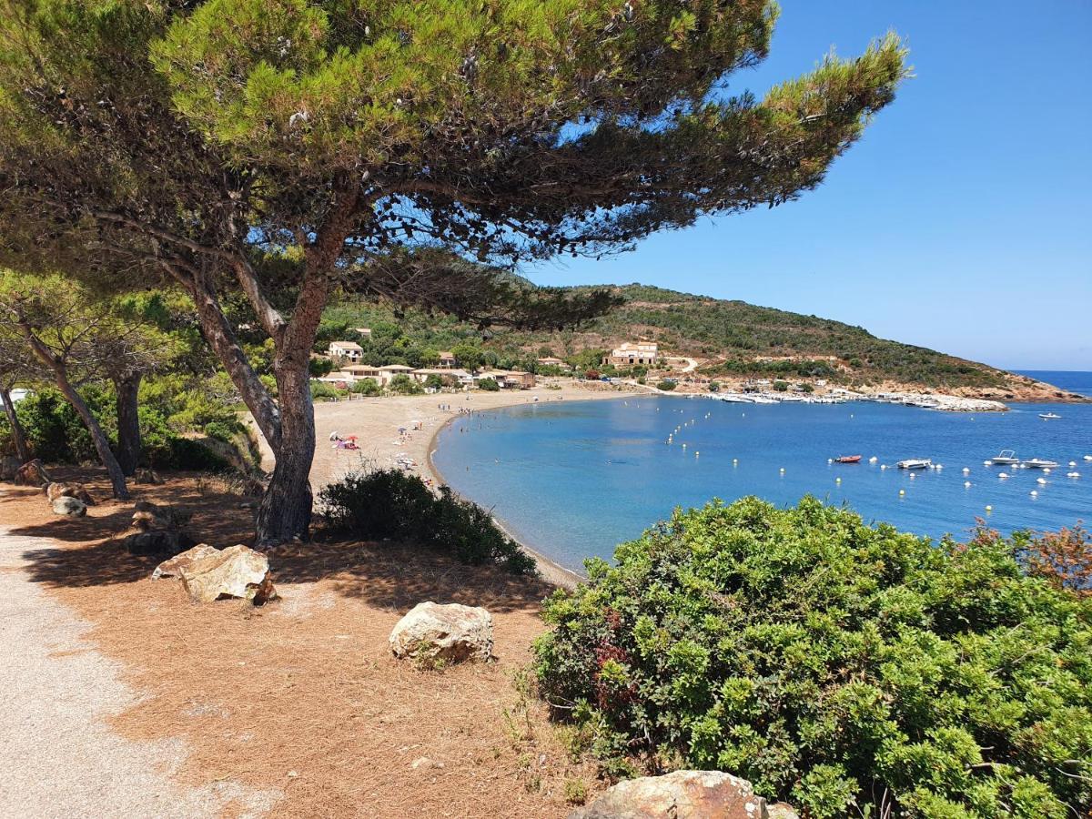 Villa Les Palmiers -Stretta Di I Mandarini Lucciana  Luaran gambar