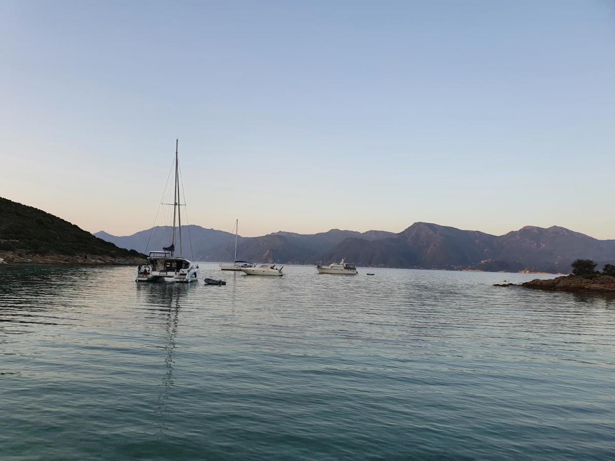 Villa Les Palmiers -Stretta Di I Mandarini Lucciana  Luaran gambar